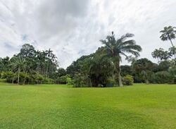 Cluny Road (D10), Detached #633991101